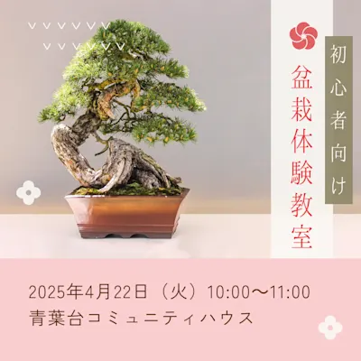 盆栽体験教室