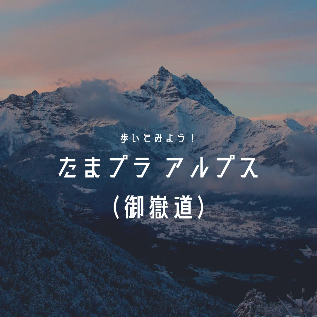 歩いてみよう!たまプラアルプス(御嶽道)