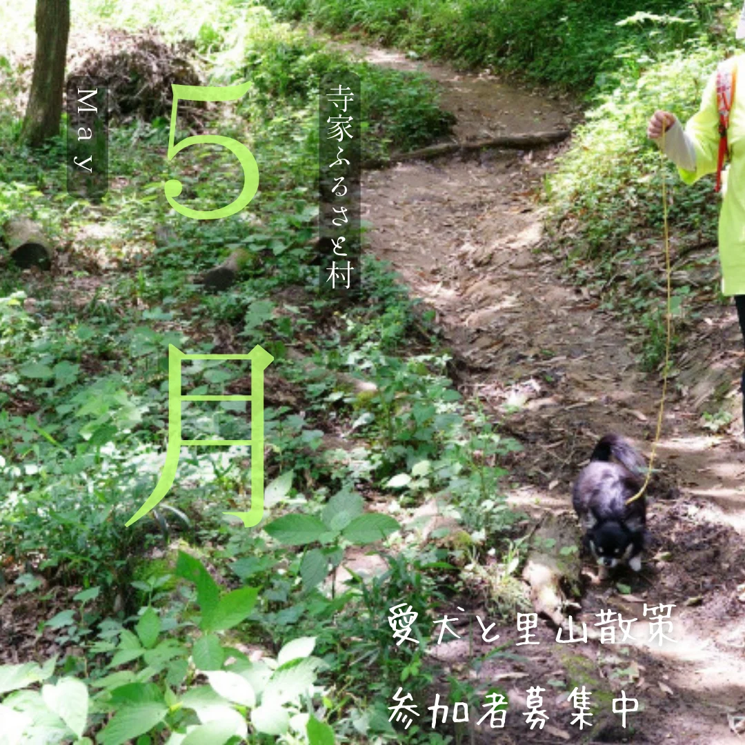 愛犬と一緒に里山へお出かけしよう!