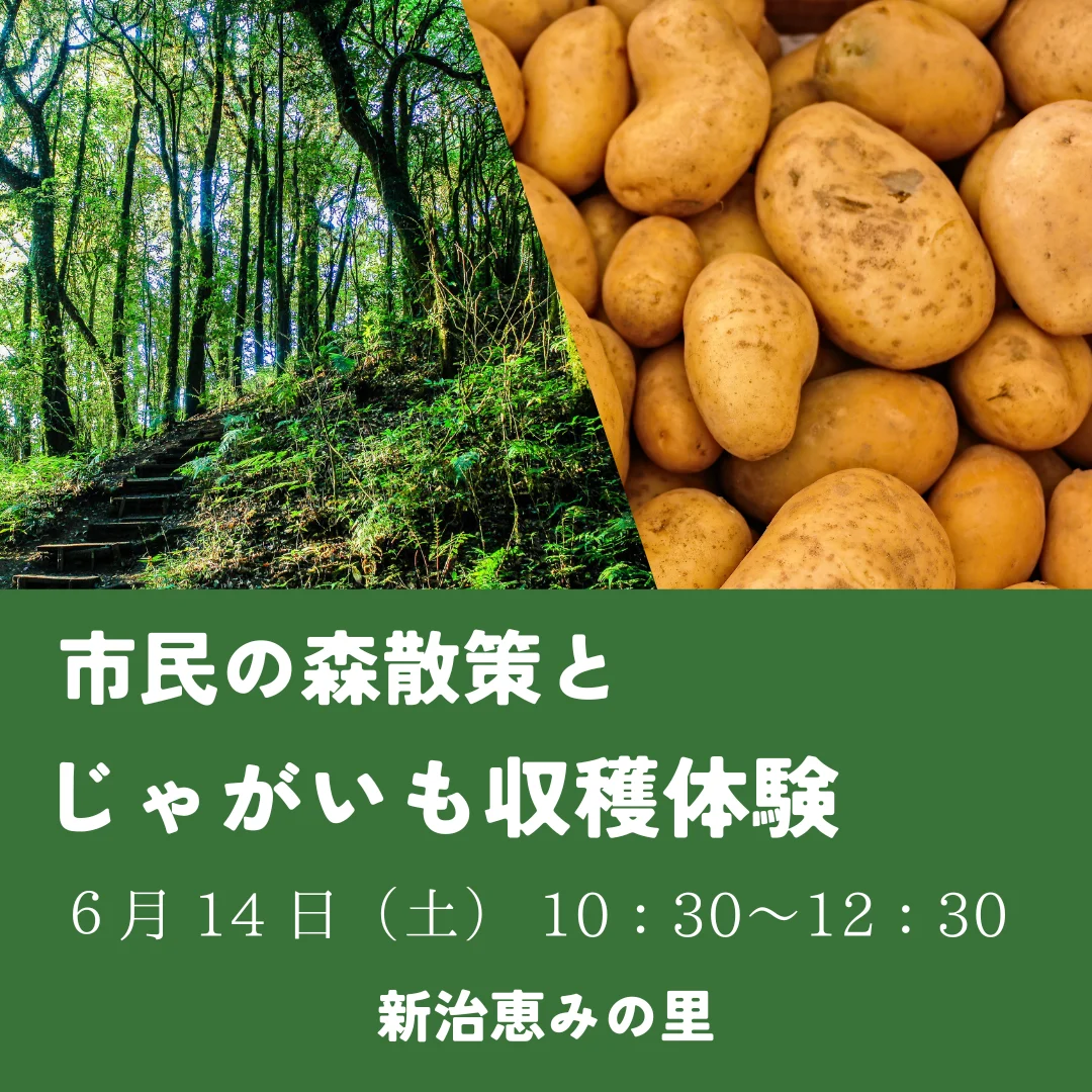 市民の森散策とジ ャ ガ イ モの収穫体験