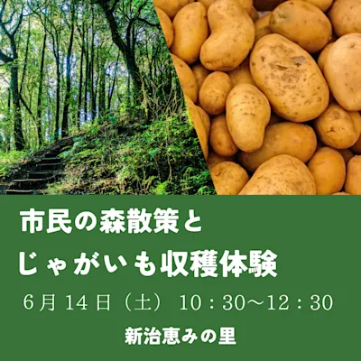 市民の森散策とジ ャ ガ イ モの収穫体験