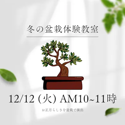 冬の盆栽体験教室