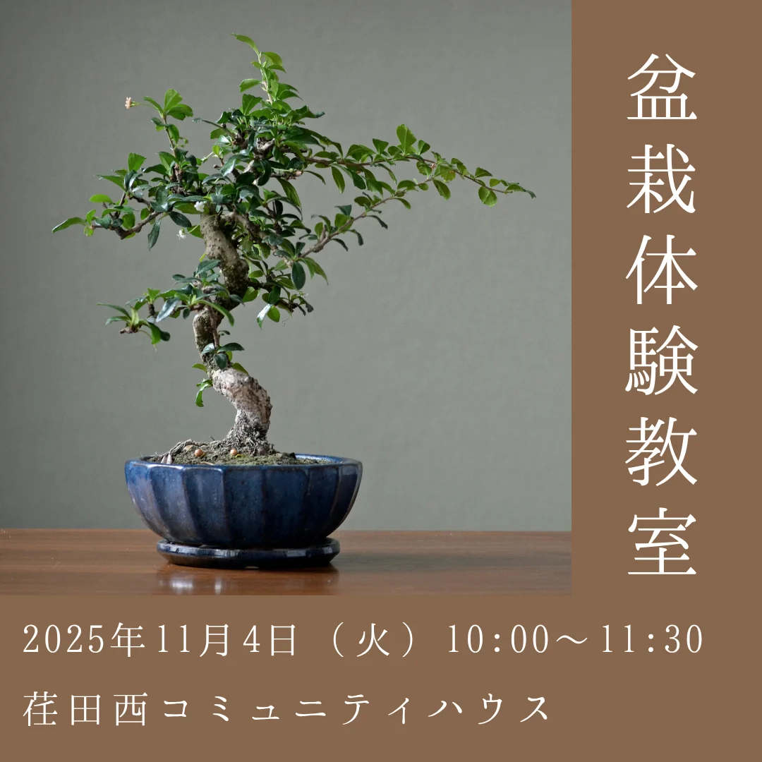盆栽体験教室