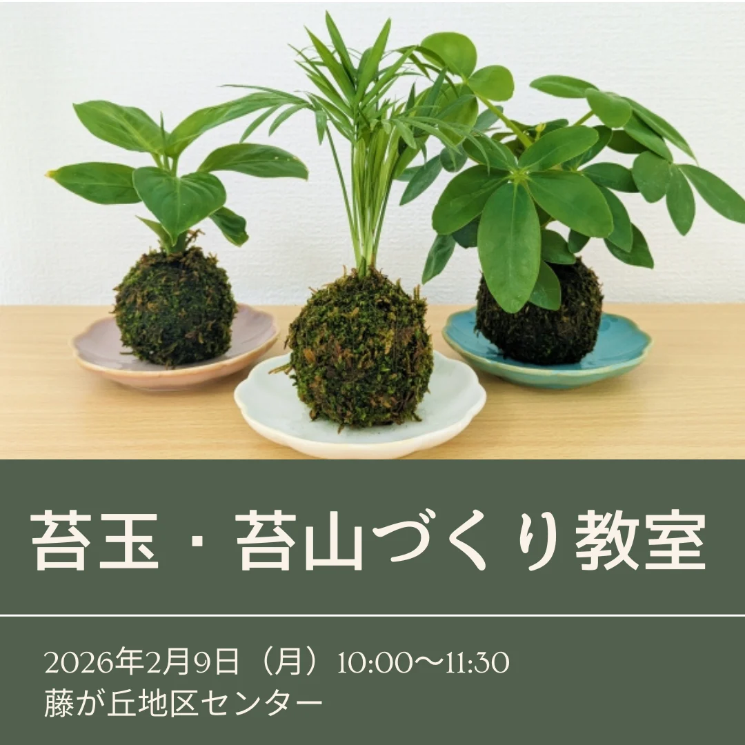 苔玉・苔山づくり教室