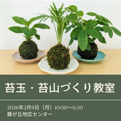 苔玉・苔山づくり教室