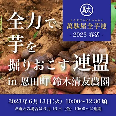全力じゃがいも掘り