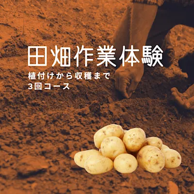 田畑作業体験 ジャガイモ 3回コース