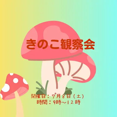 夏のキノコ観察会