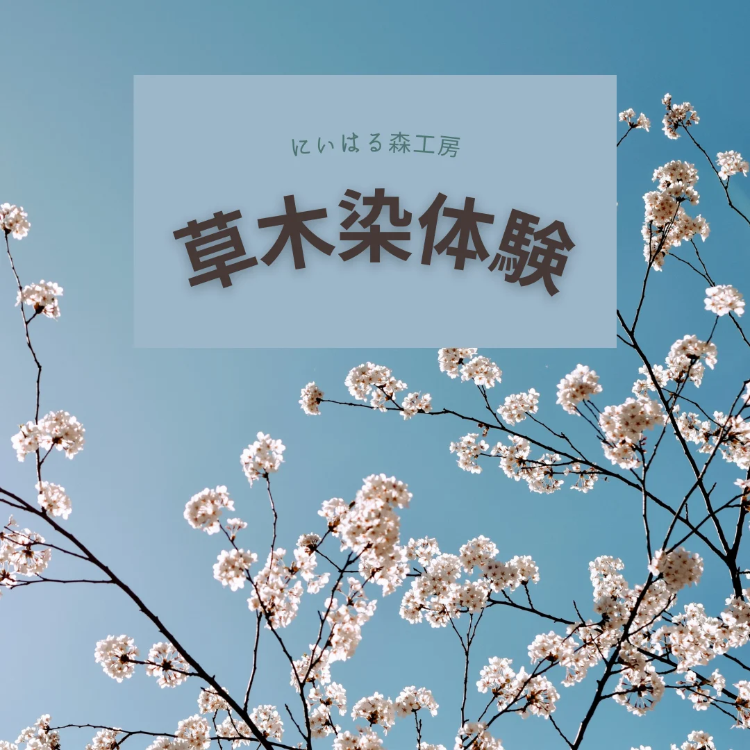 「にいはる森工房」の草木染体験