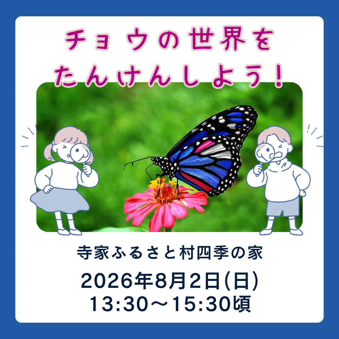 チョウの世界をたんけんしよう！