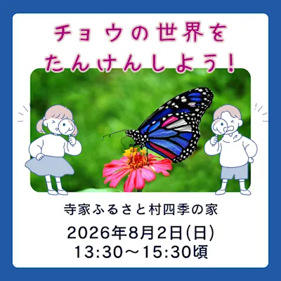 チョウの世界をたんけんしよう!