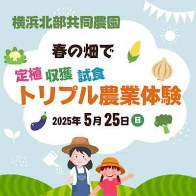春の畑でトリプル(定植・収穫・試食) 農業体験