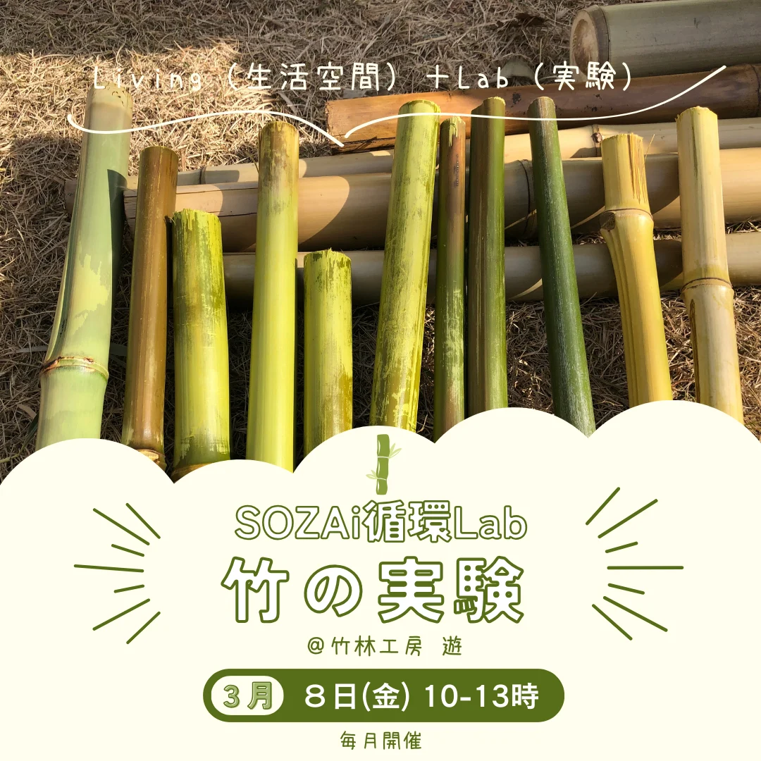 竹の実験 第3回
