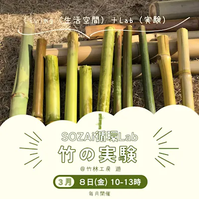 竹の実験 第3回