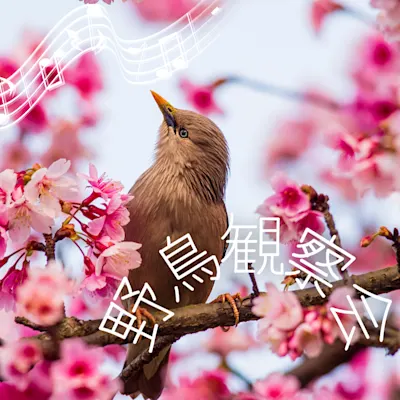野鳥観察会