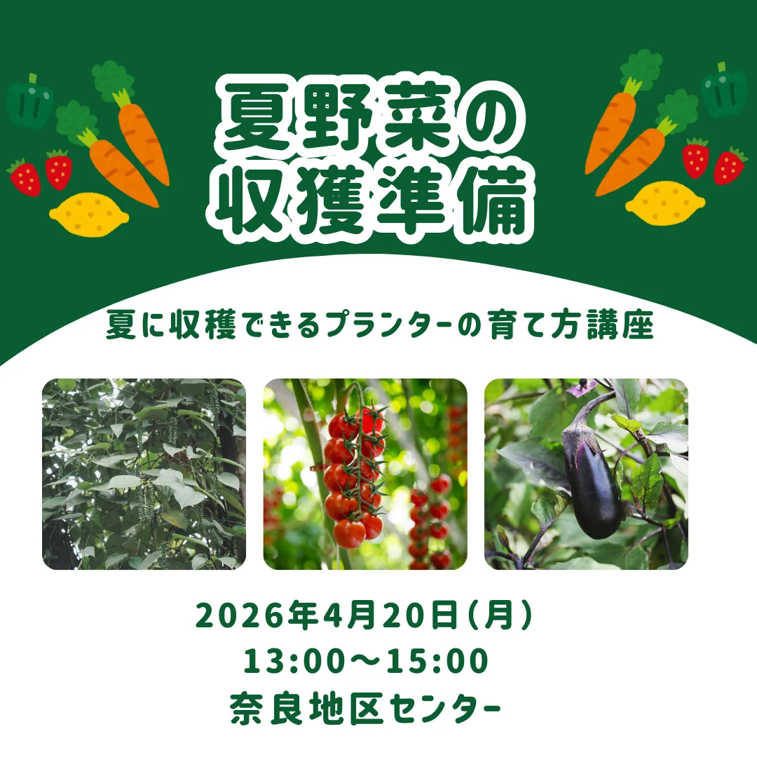 夏野菜の収穫準備