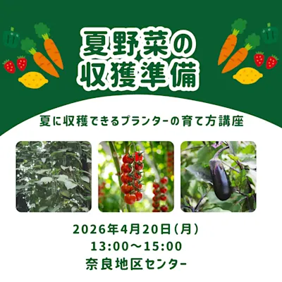 夏野菜の収穫準備