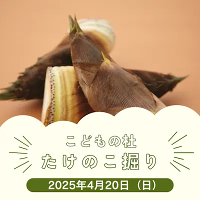 こどもの杜 たけのこ掘り
