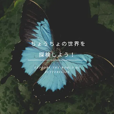 ちょうちょの世界を探検しよう!