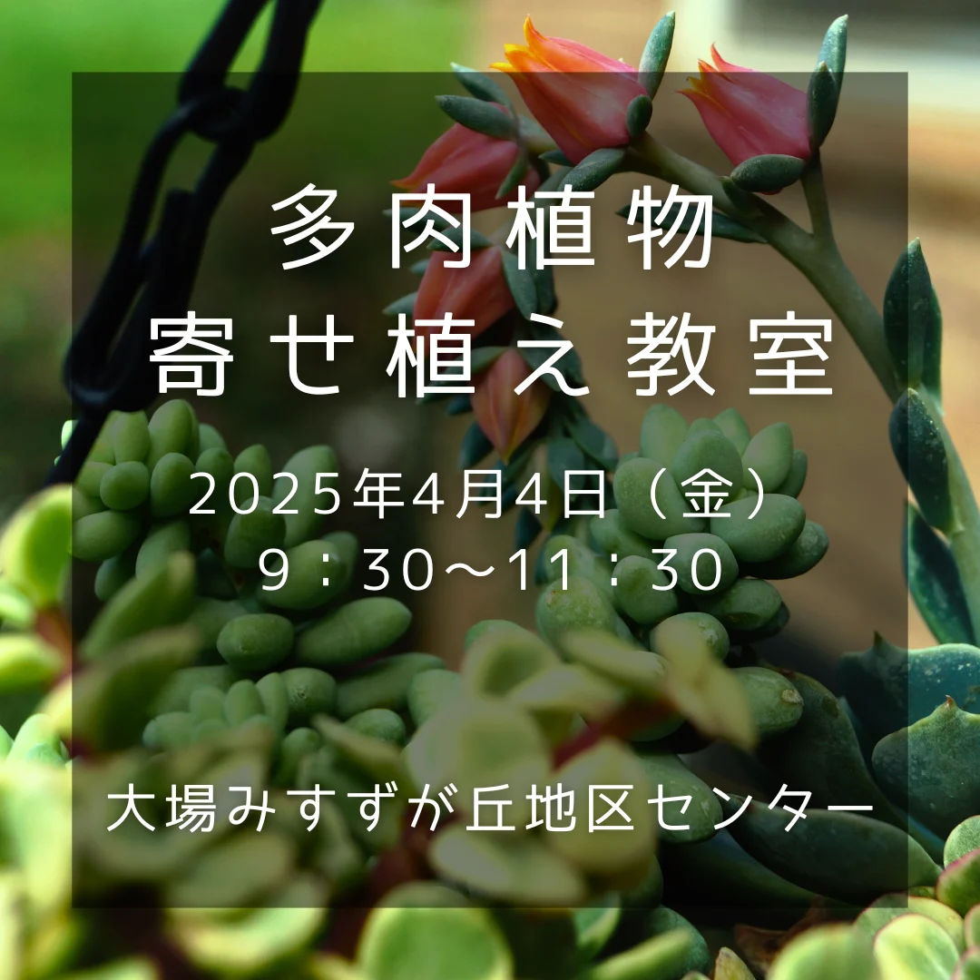 多肉植物寄せ植え教室