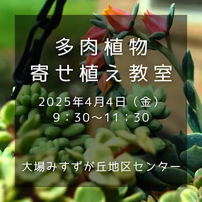 多肉植物寄せ植え教室