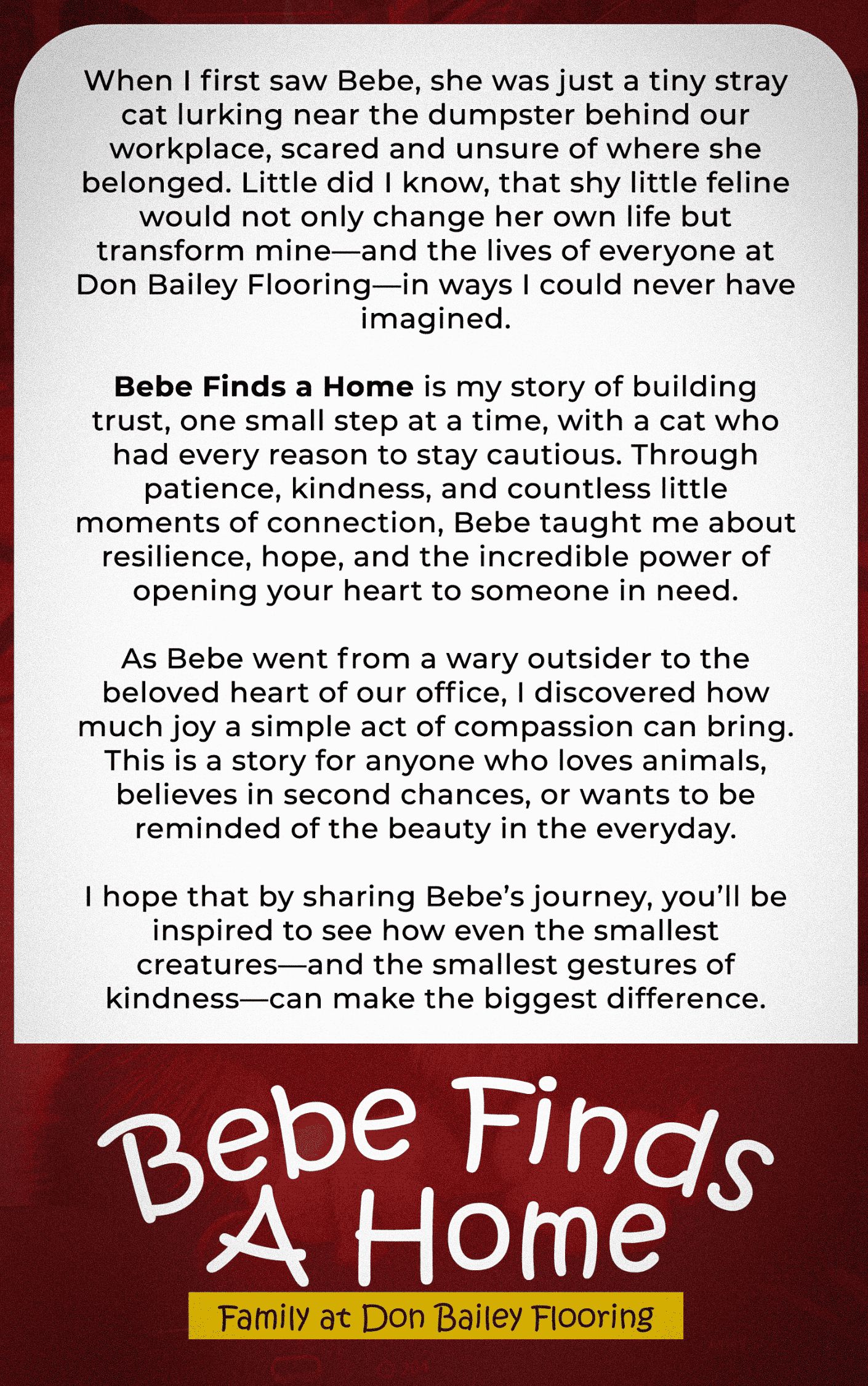Bebe Finds A Home At Don Bailey Flooring Correct
