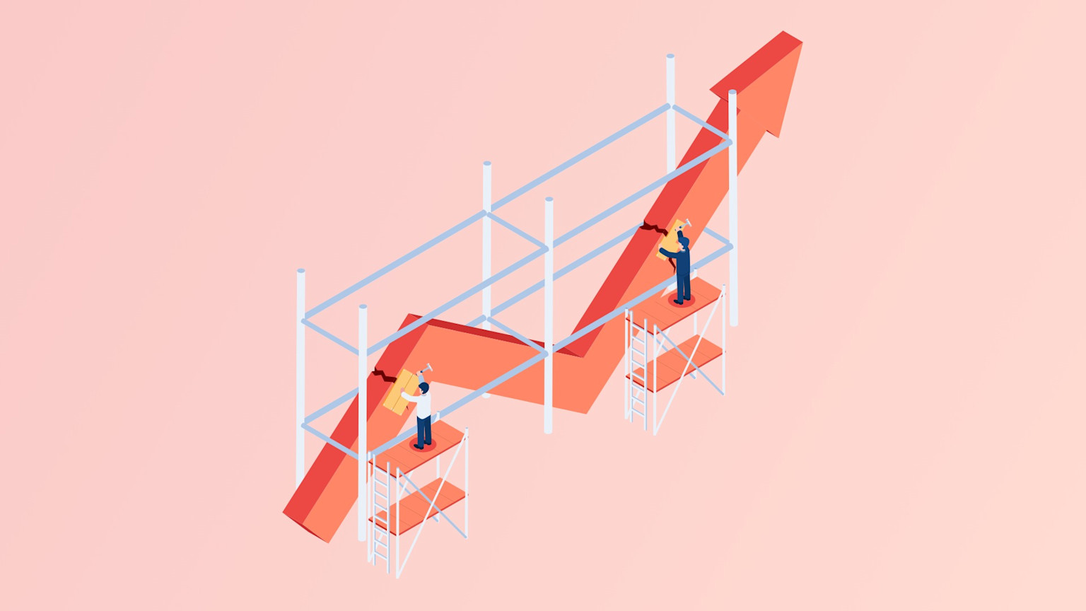 user cohort