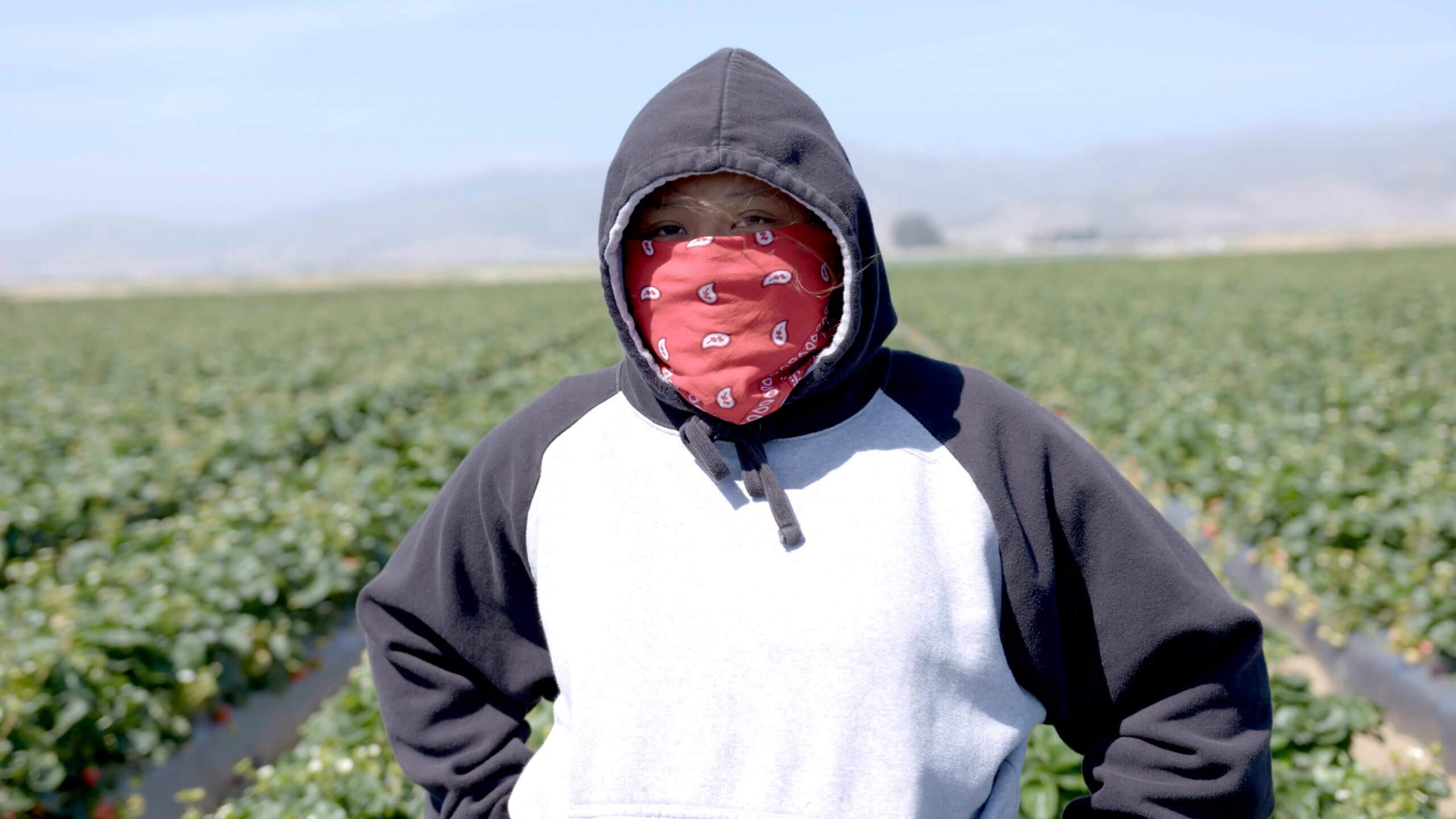 Still from Fruits of Labor. A woman in a hoodie stands in a field using a red bandana as a mask.