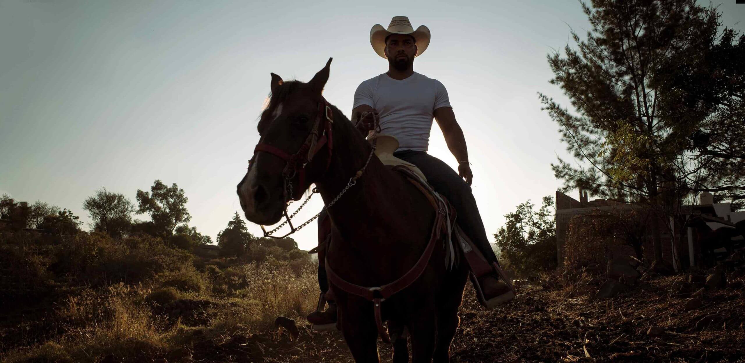 Still from Jaripeo