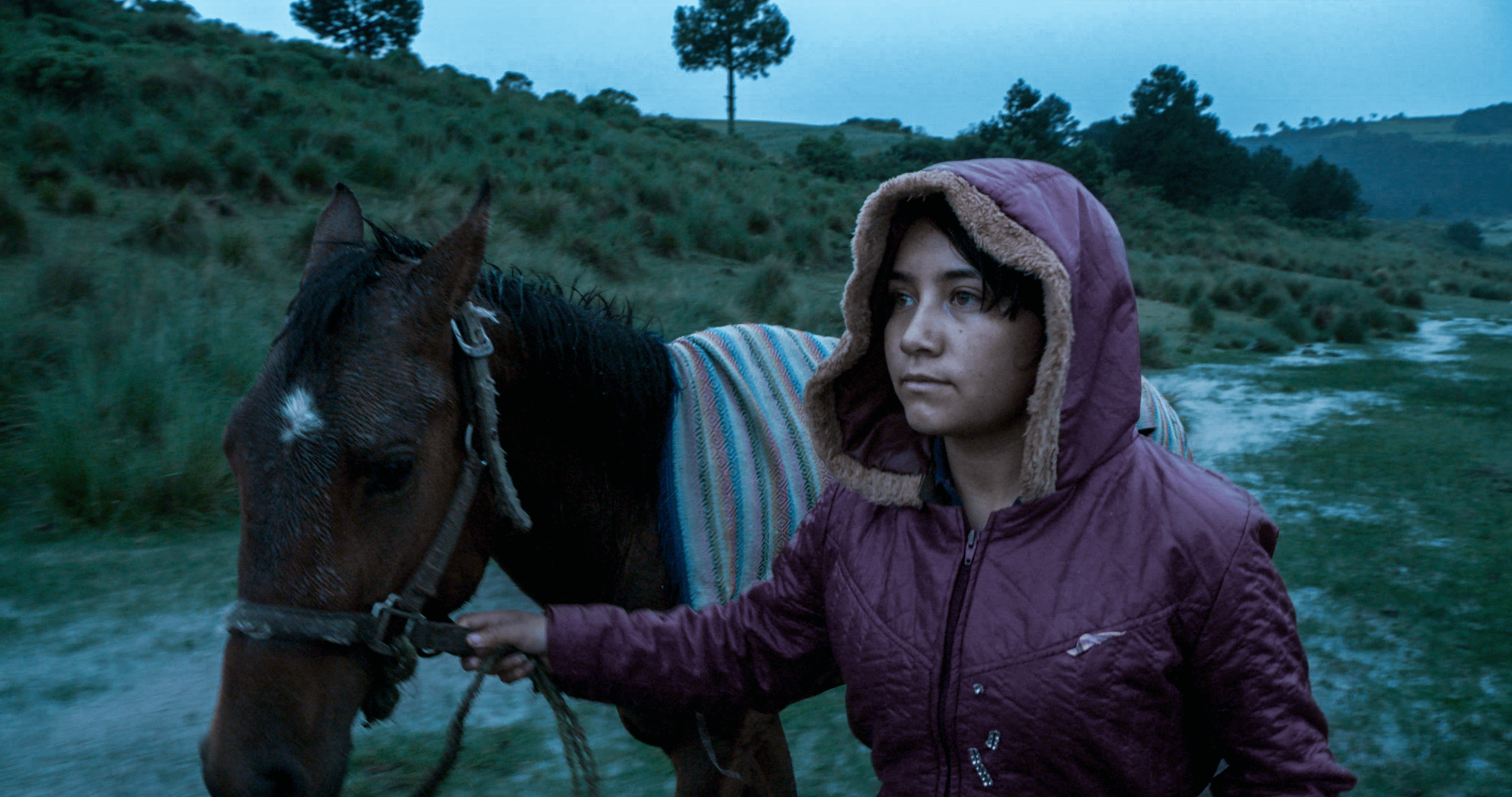 Still from El Eco. A young girl leads a horse through a field at dusk.