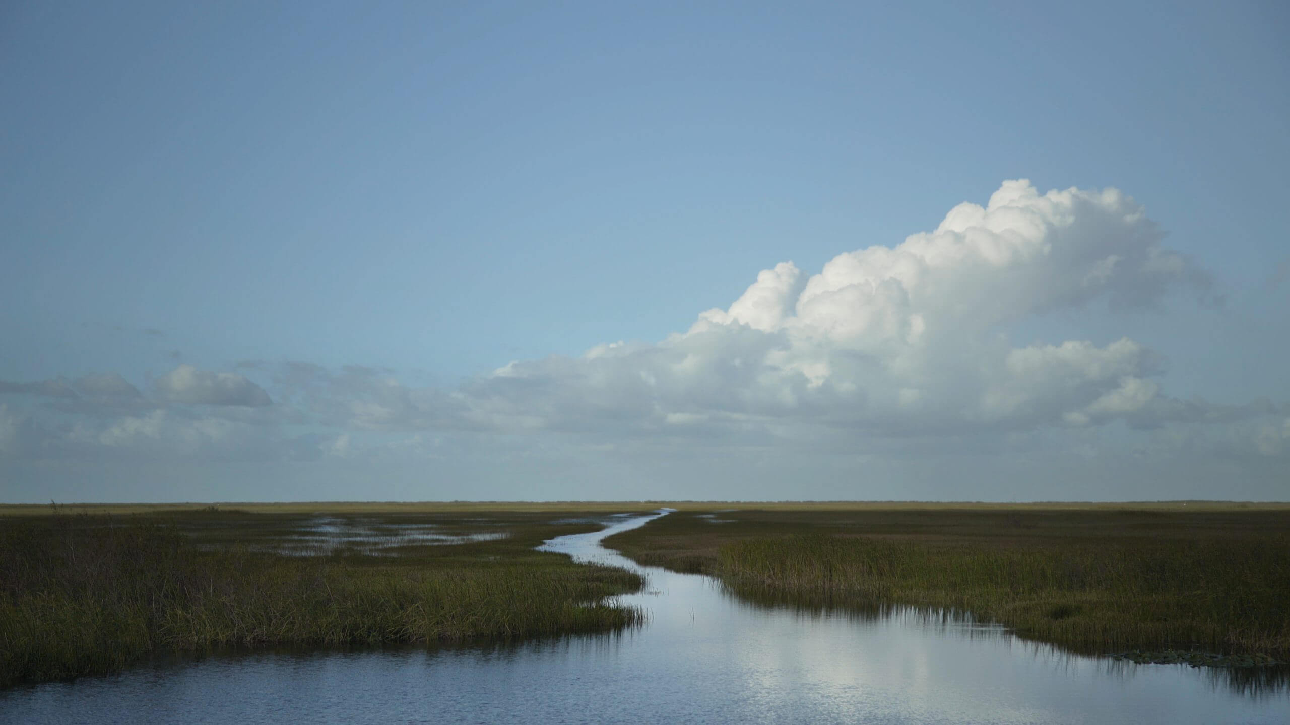 Still from River of Grass