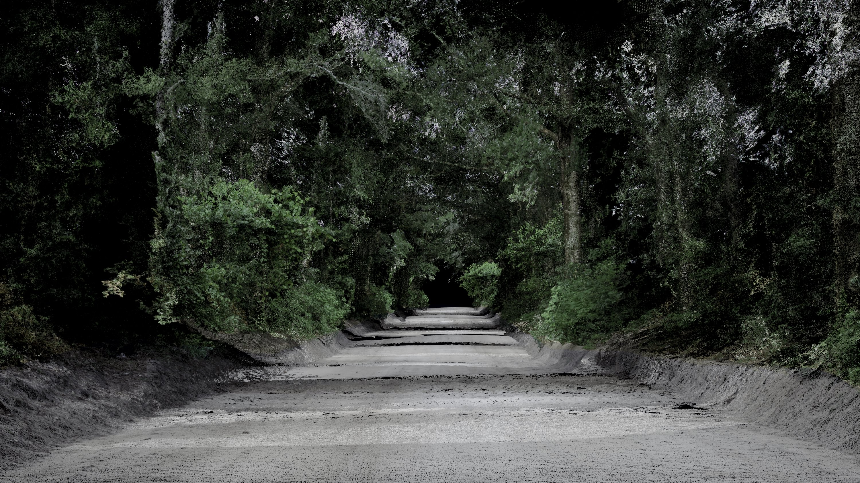 A wide dirt road surrounded by lush trees.