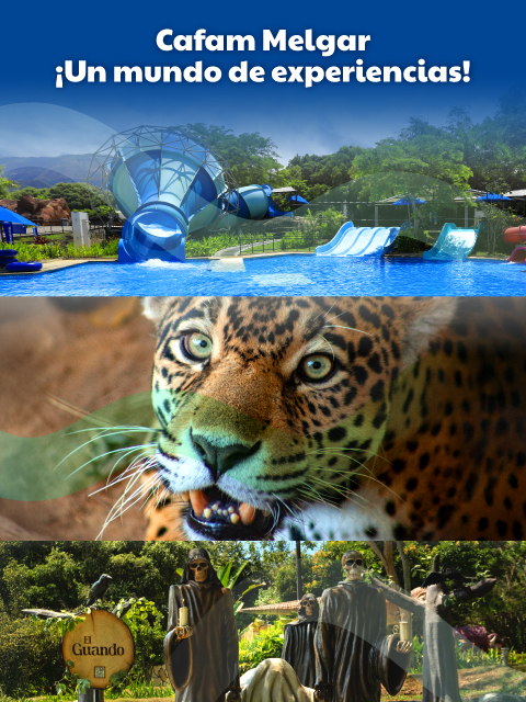 SS10402 BannerWebCafam 480x640