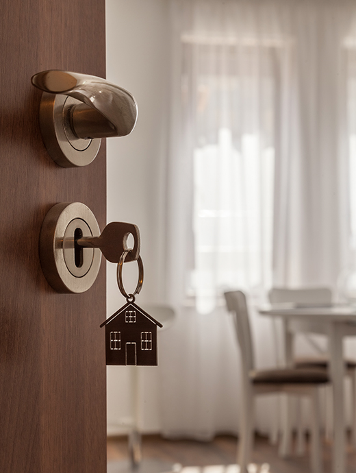 VIV8378 Ima genes Web Vivienda 520x690px