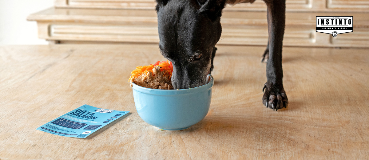 Imagen interna INSTINTO 1200x520 