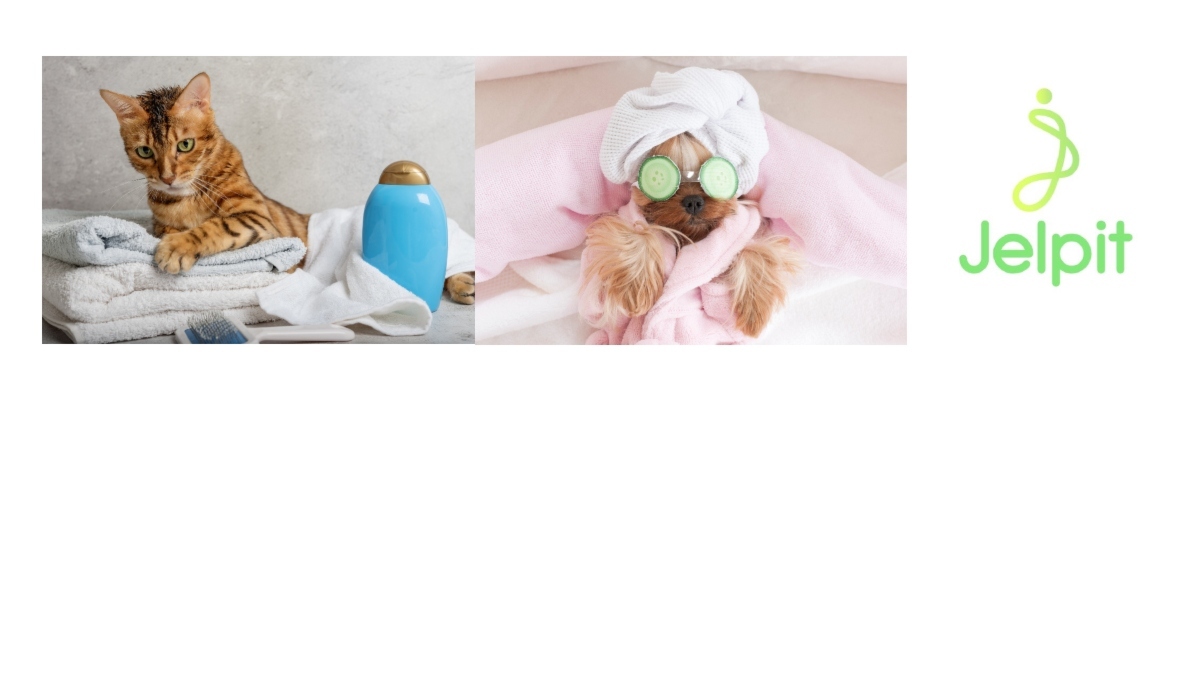 BANNER JELPIT MASCOTAS