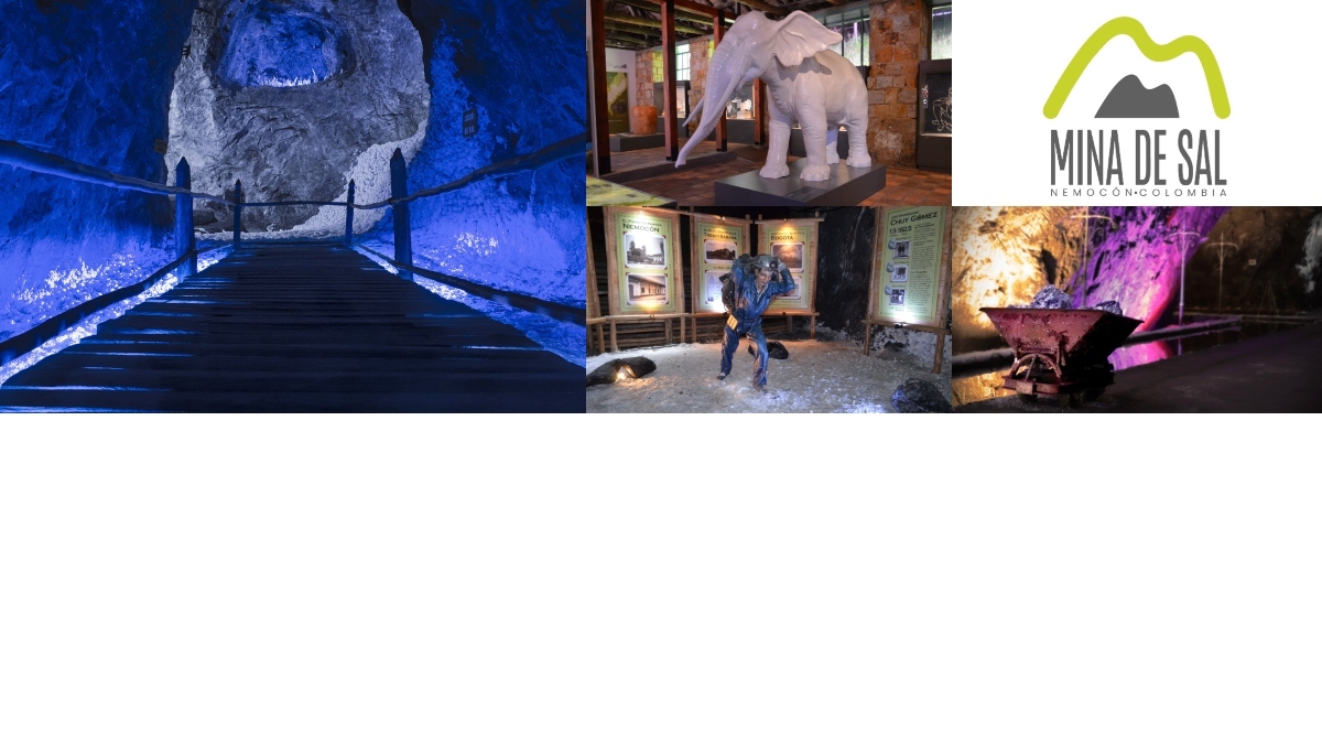 BANNER MINA DE SAL NEMOCON