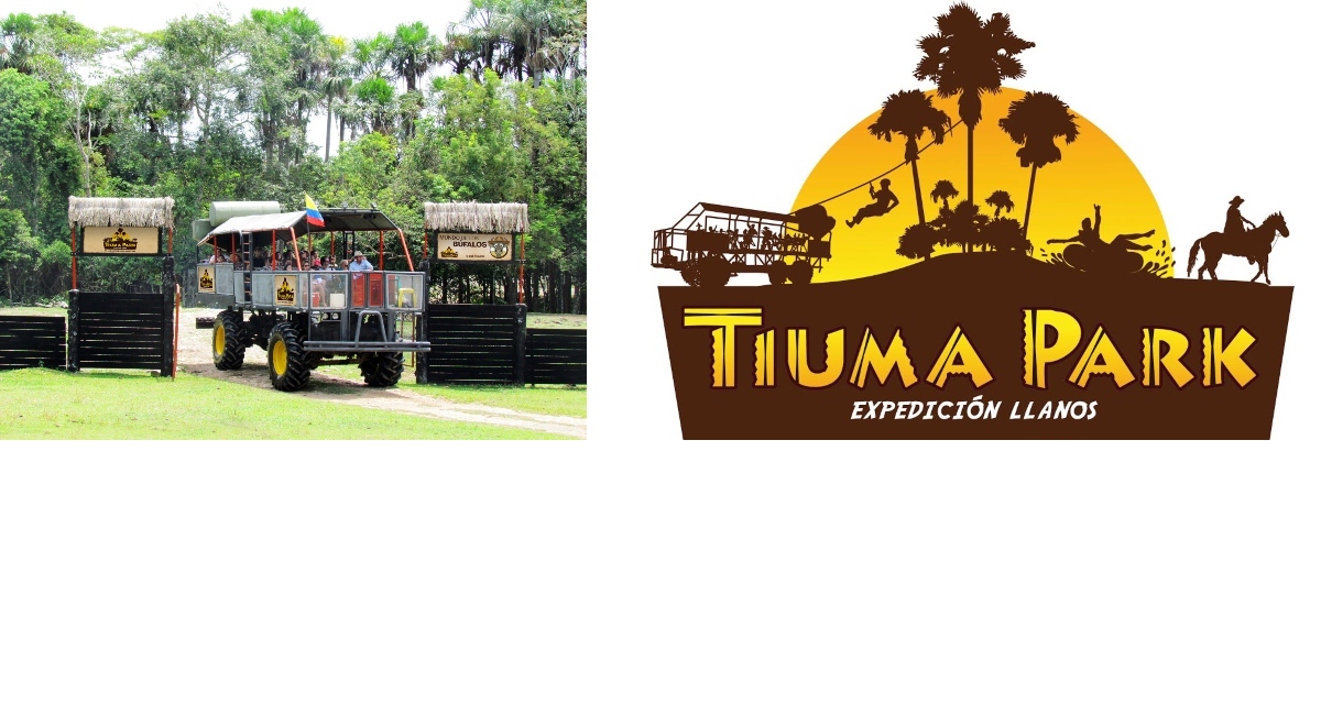 2 1200x500x675 tiuma park