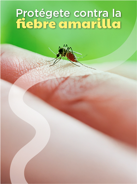 Recomendado Web 480x643 px