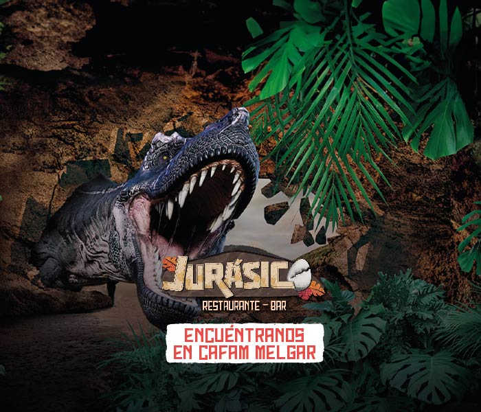 SS7533 Banner web 700x600