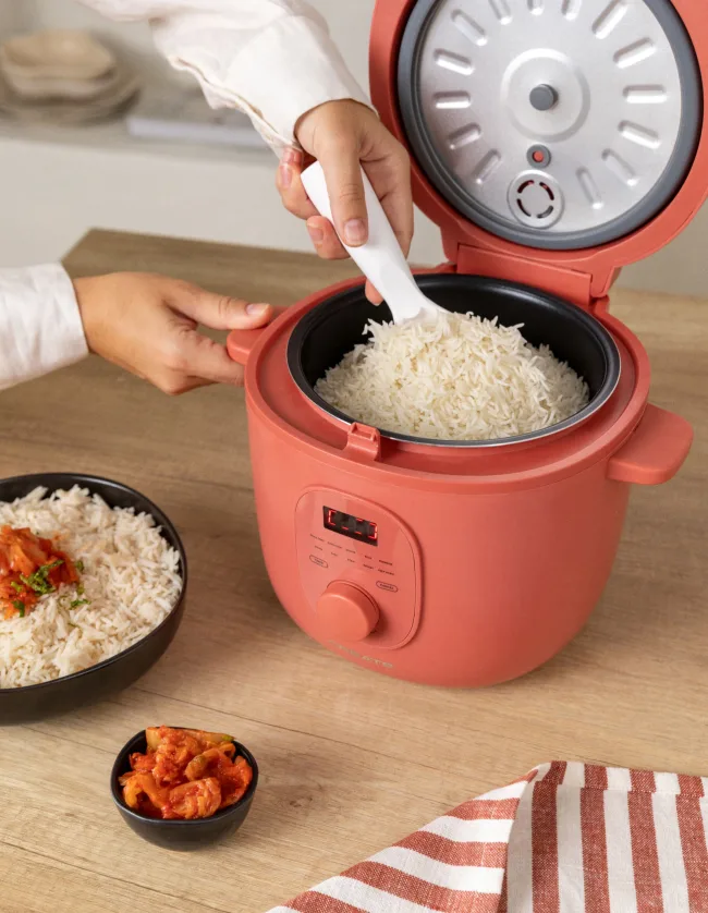 Rice Cooker