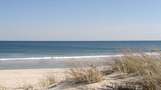 Article 122064 Thumbnail