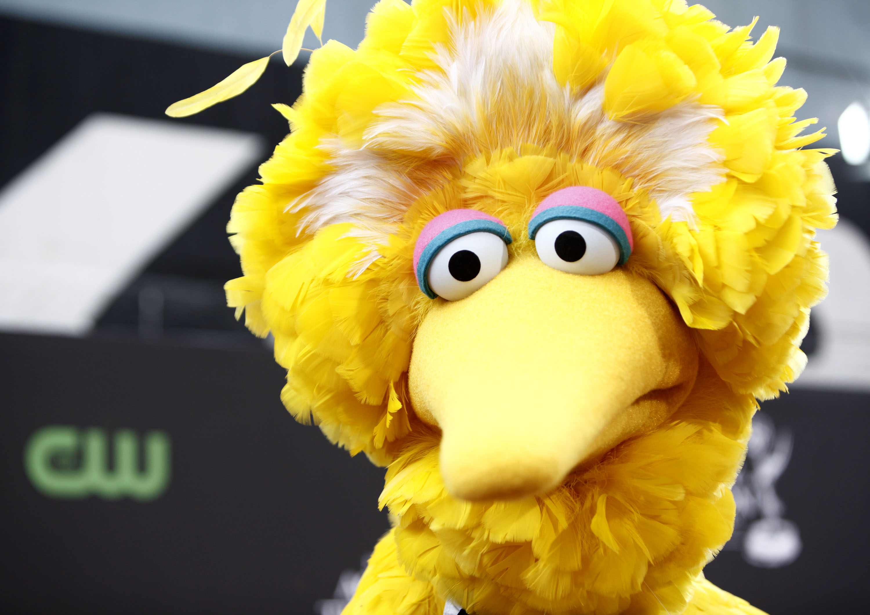 Big Bird s COVID 19 Vaccine Announcement Touches Nerve With Conservatives