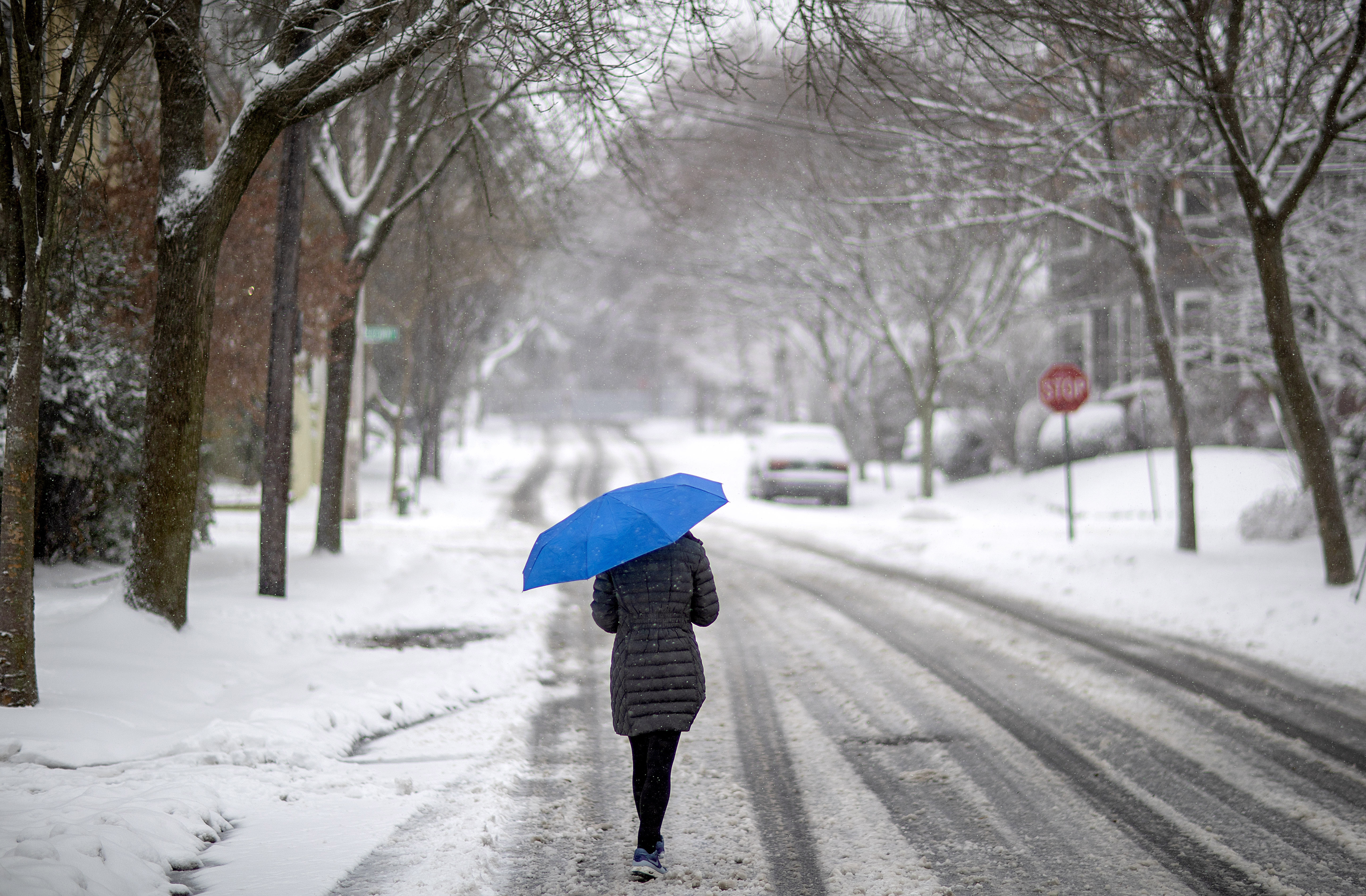 Article 241989 Hero Image