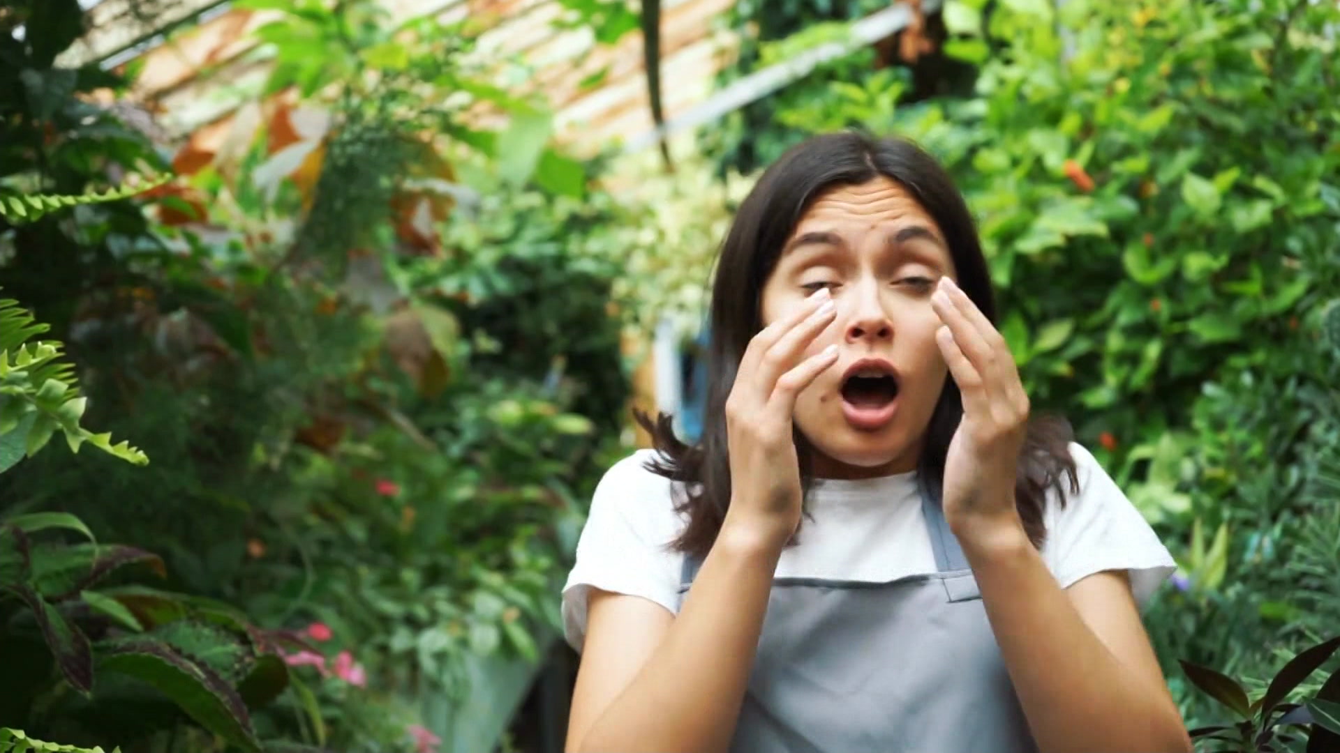 432026CTallergy_2026-04-03-05-22-37