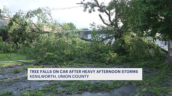 Strong storms cause damage, leave parts of New Jersey underwater