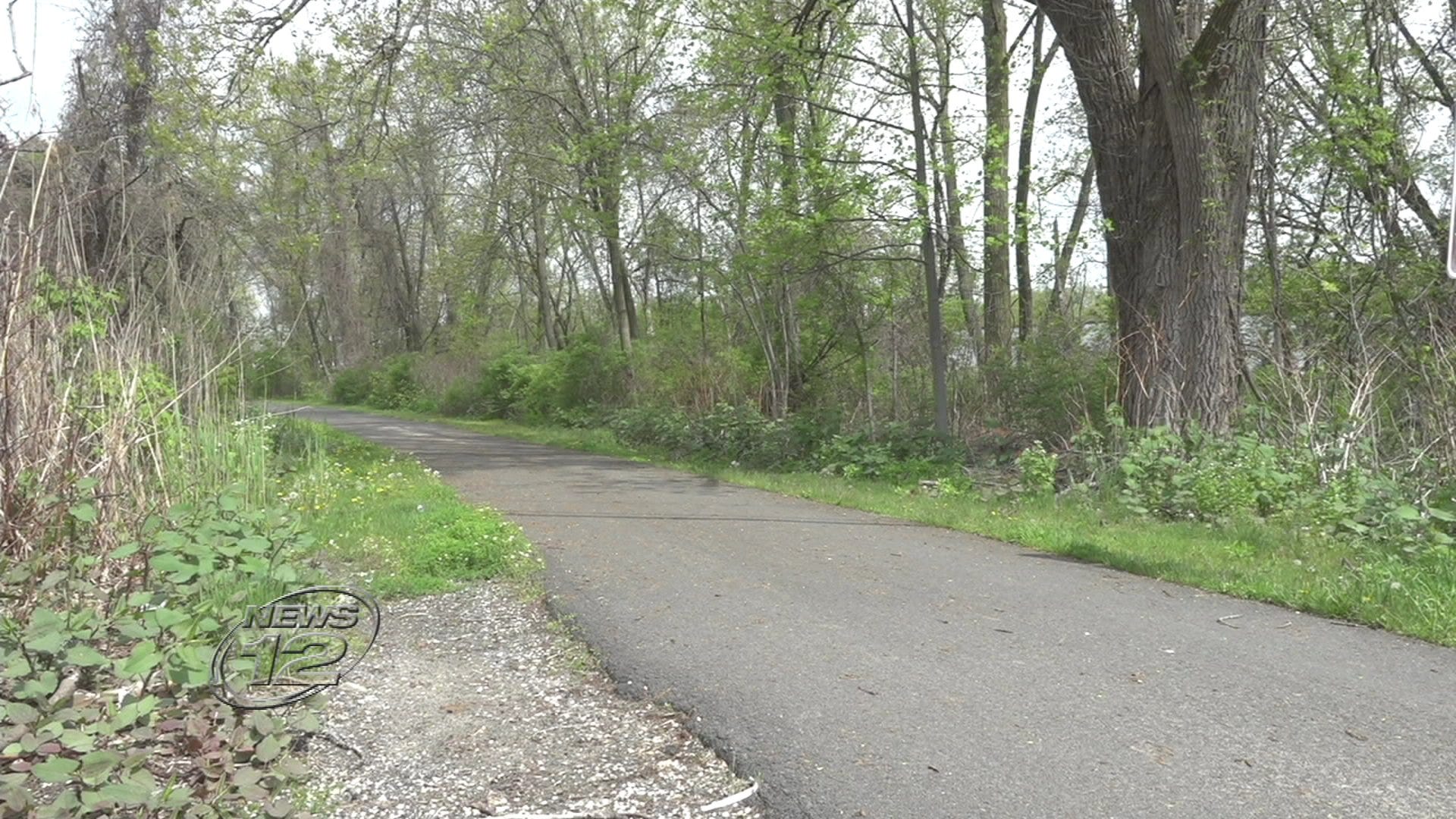 Article 116051 Thumbnail