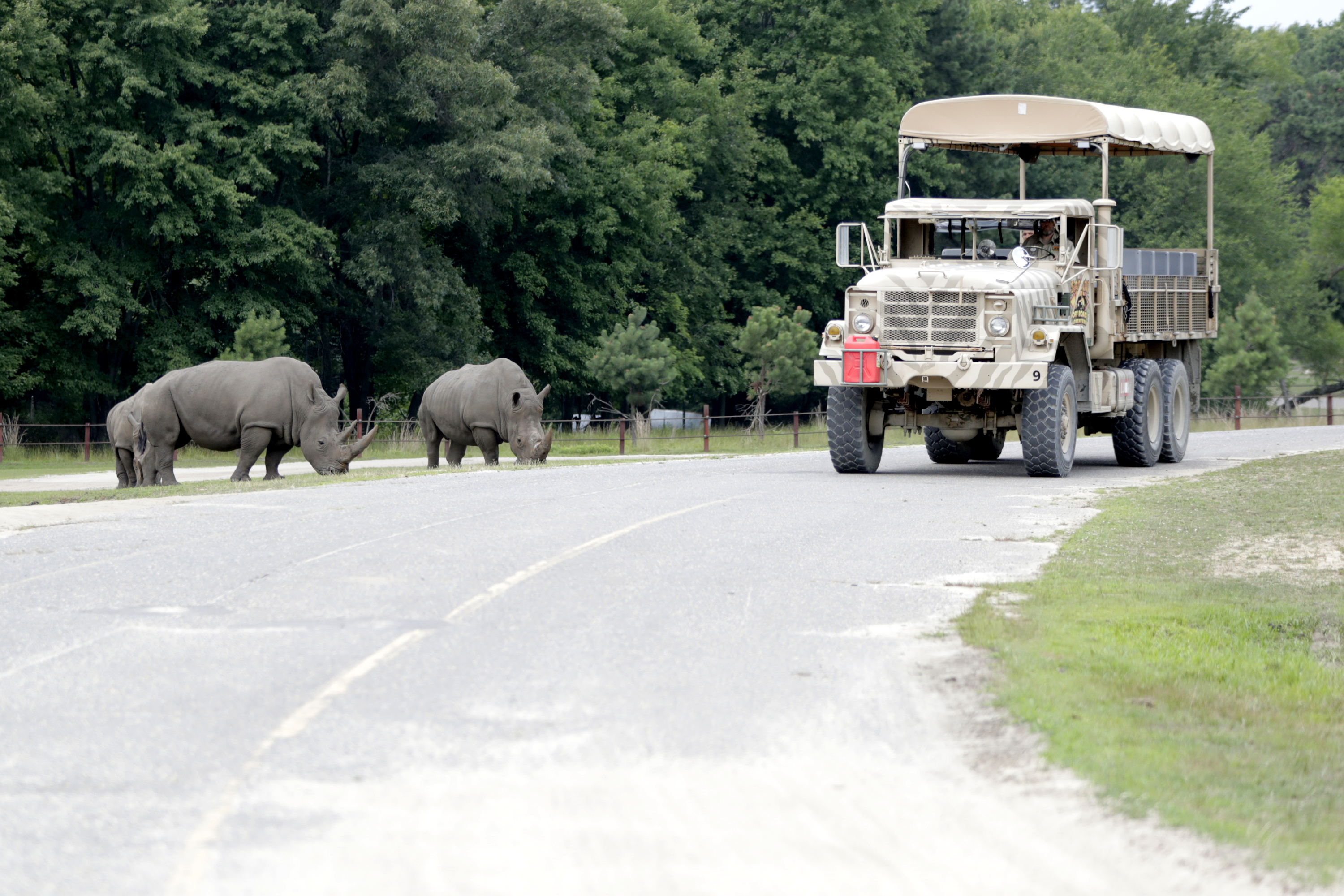 Article 253443 Hero Image