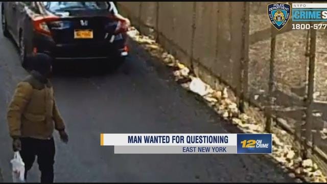 Article 50318 Thumbnail