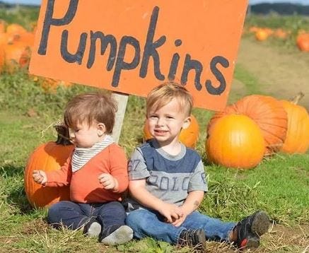 Article 144557 Thumbnail